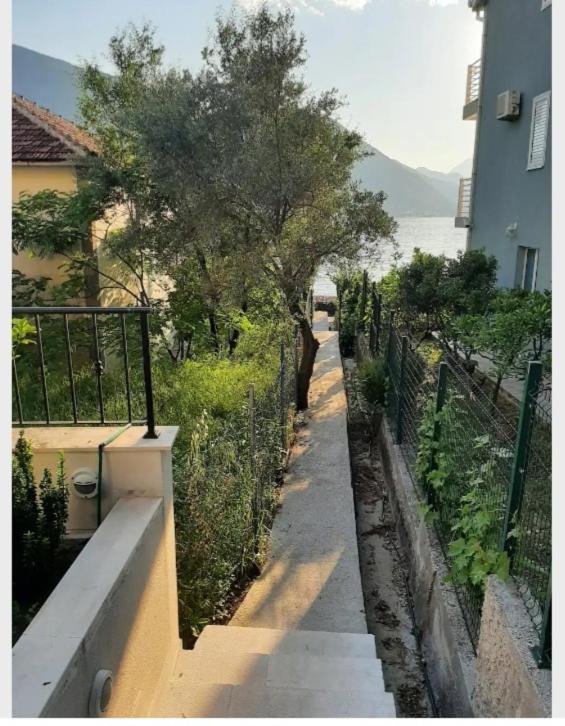 Apartments Boka Blue Dobrota Kotor Luaran gambar